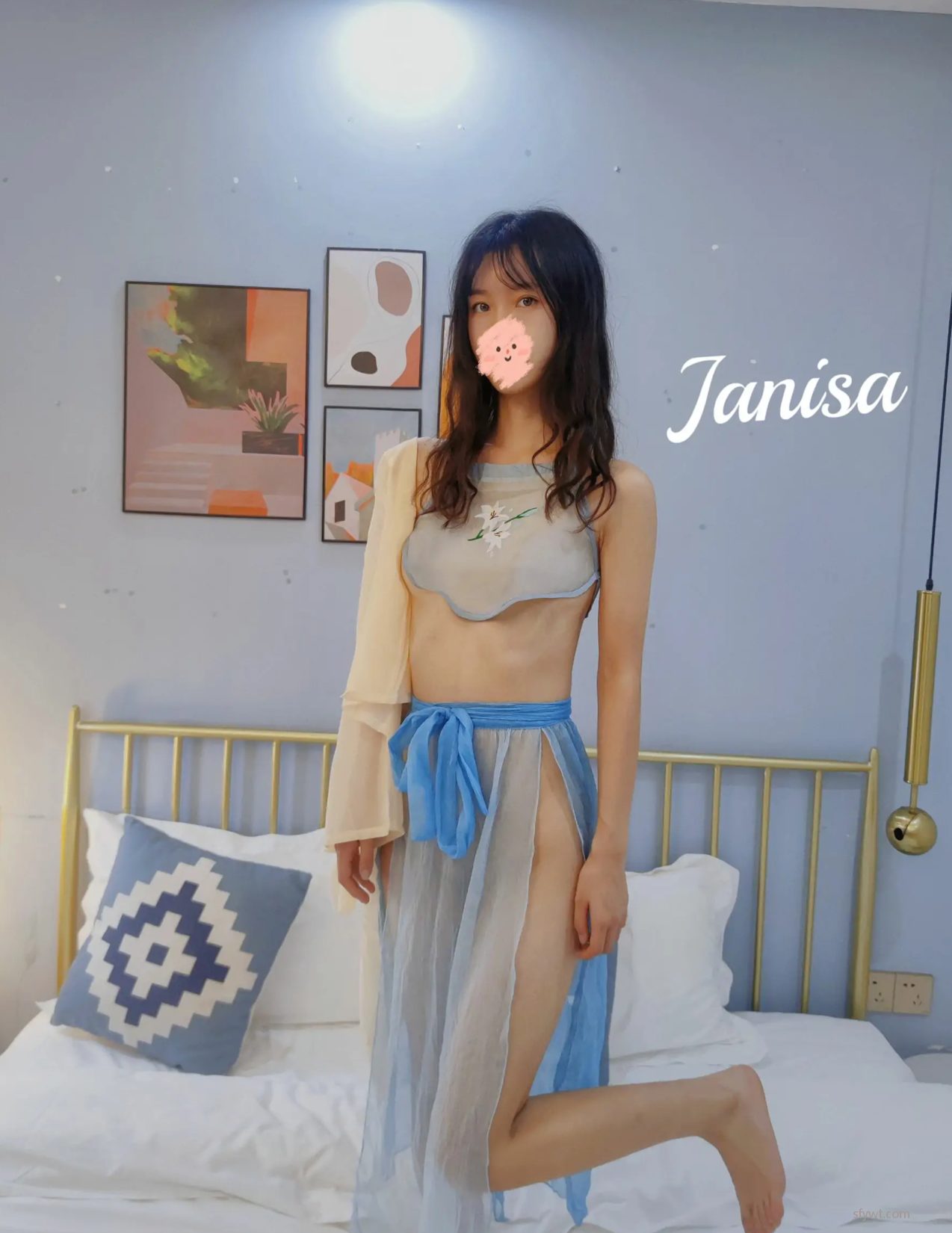 ģ Janisa coserд  ߾ϸͼ (11P) P.1 