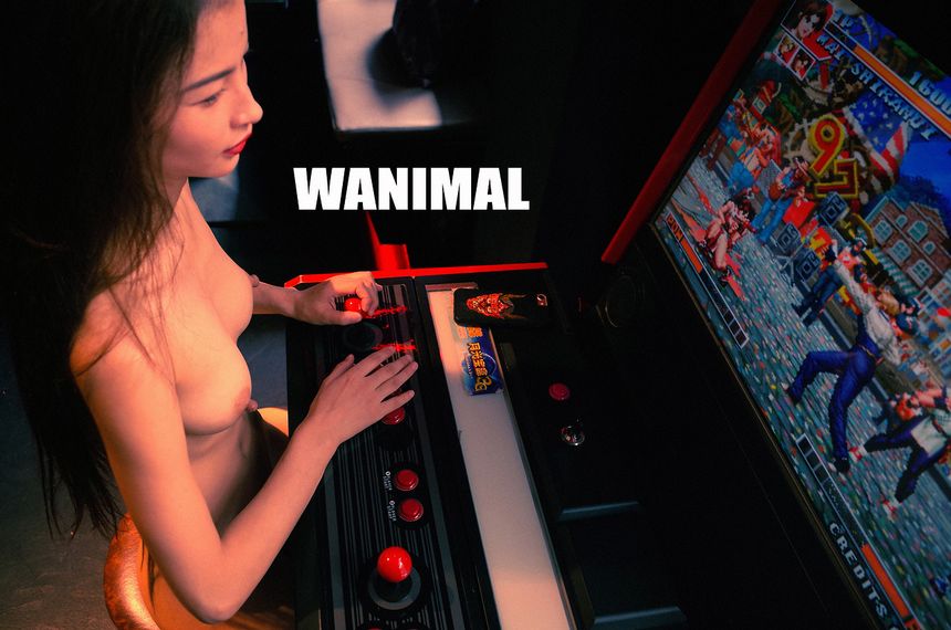 (ʮ) WANIMALƷ [134P] ڹ ͼ P.1 