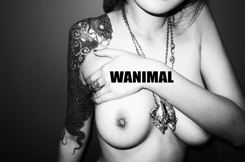 (ʮ) WANIMALƷ [134P] ڹ ͼ P.1 