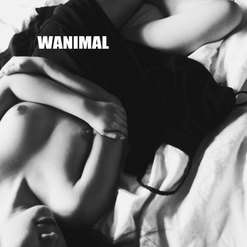 (ʮ) WANIMALƷ [100P] ʥ ͼ P.1 